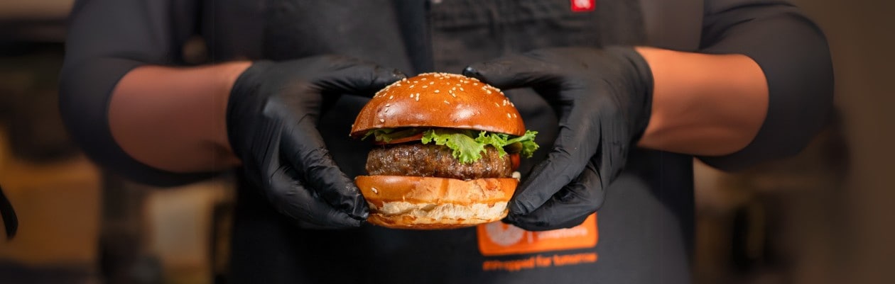 הלמנ'ס פרופשיונל