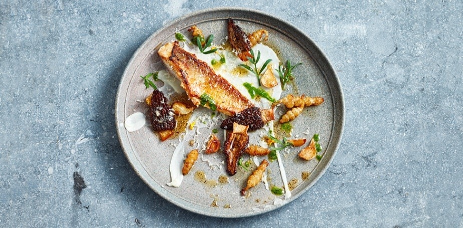 8 רעיונות וסגנונות צילחות מודרני