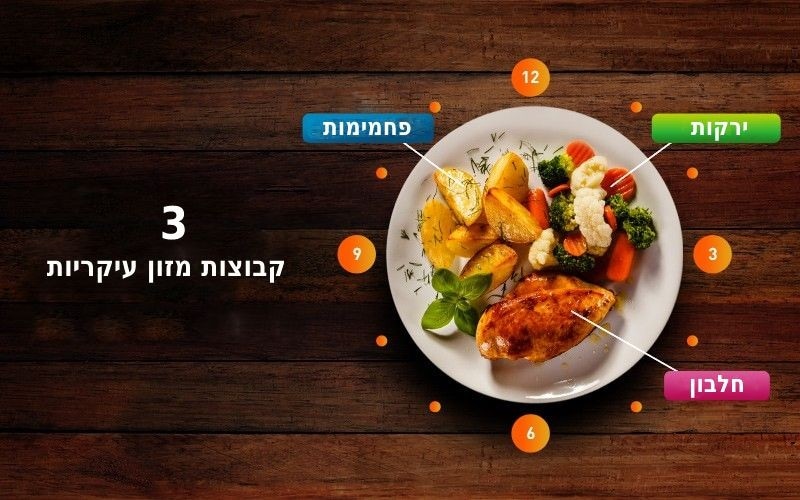 3 קבוצות מזון