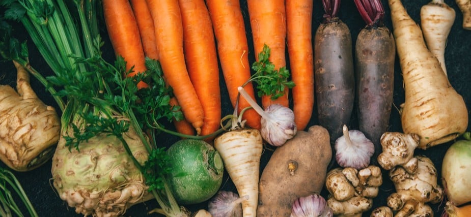 חזרה לשורשים