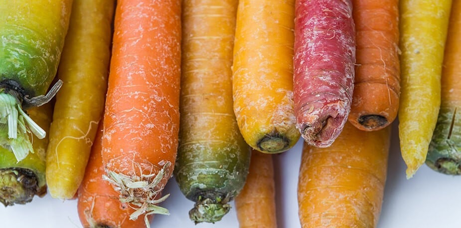 מהגינה לשולחן