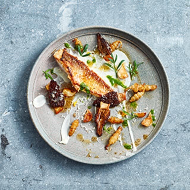 קורס אמנות הצילחות