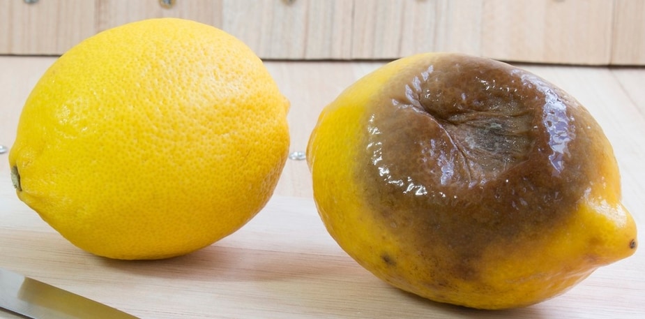 העלות הנסתרת של הפסולת