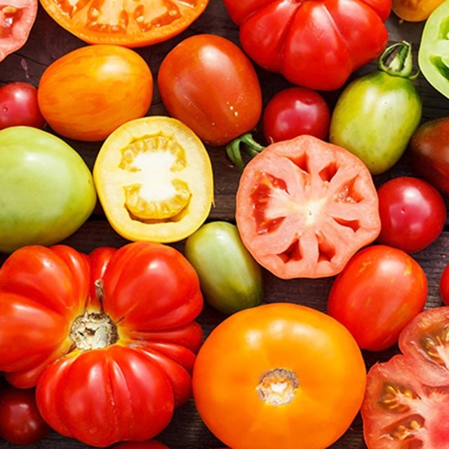 מדריך העגבנייה השלם