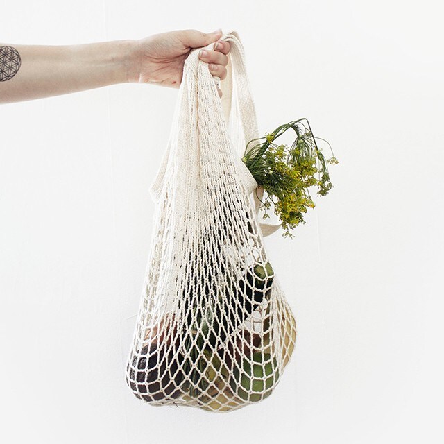 שלב 6: מבחן התשואה 