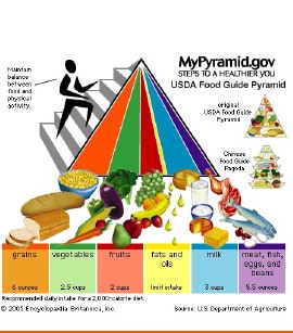 הפירמידה שלי