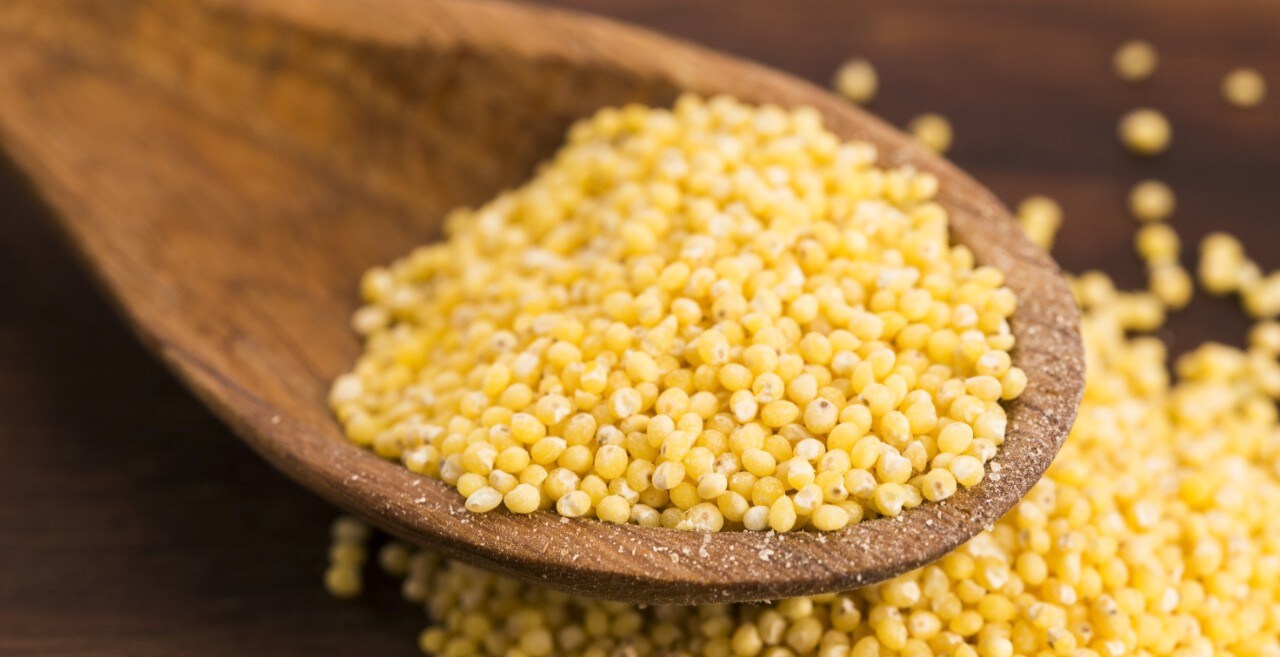 הדגנים של אבות אבותינו חוזרים לאופנה